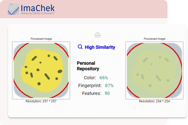 imachek imachek